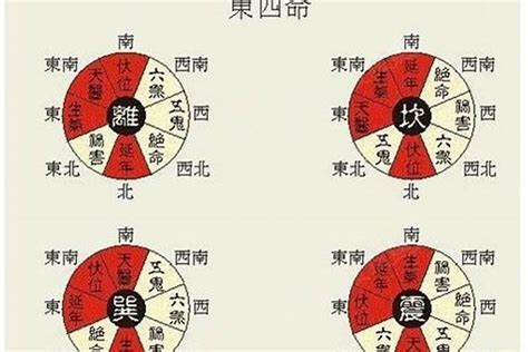 东四命|东四命卦和西四命卦的速查表